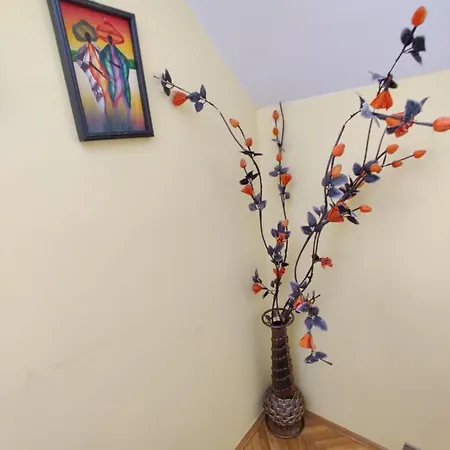 Apartment Dama & Dubravka *