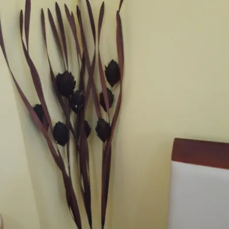 Dama & Dubravka Apartment