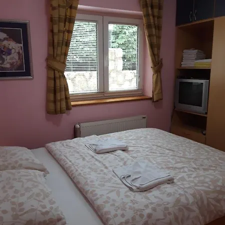 Dama & Dubravka Apartment Zlatibor