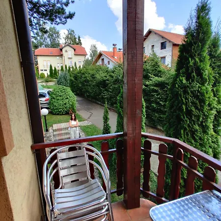 Dama & Dubravka Apartment Zlatibor